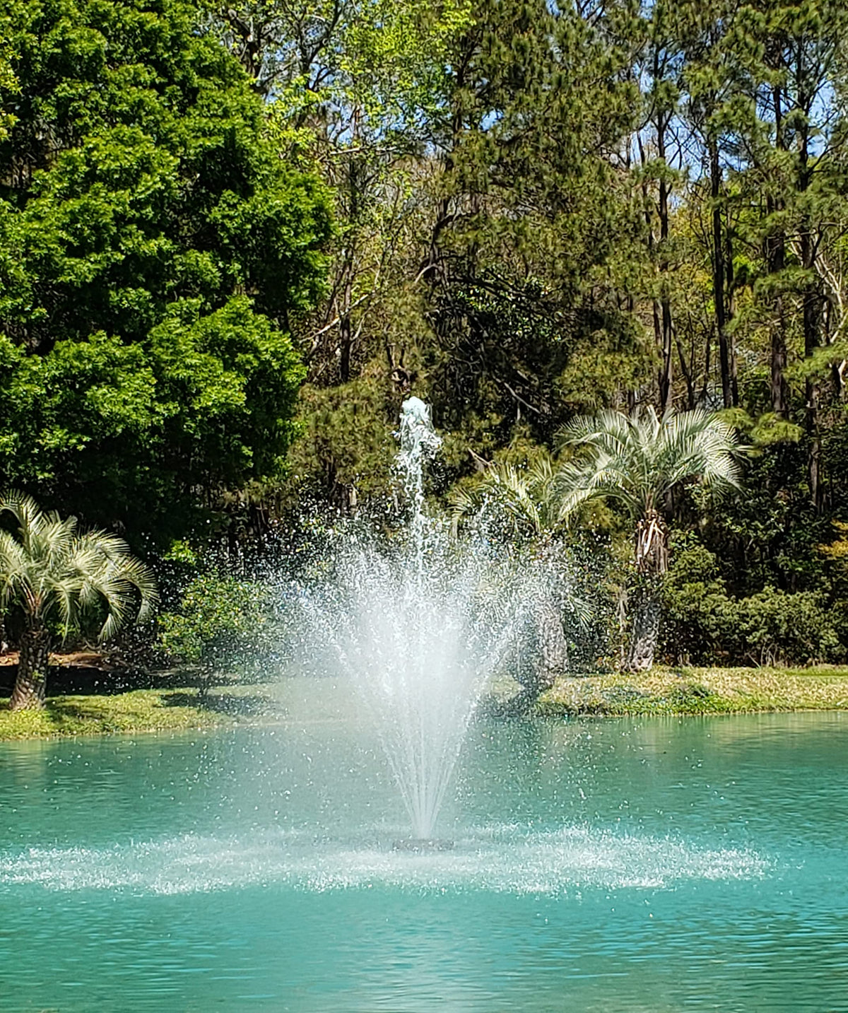 Vanguard Water Creations Hydro Torque Series Floating Fountains for Lake, Pond, Pool | 1 HP and 100' Power Cord (Includes 5 Spray Patterns)