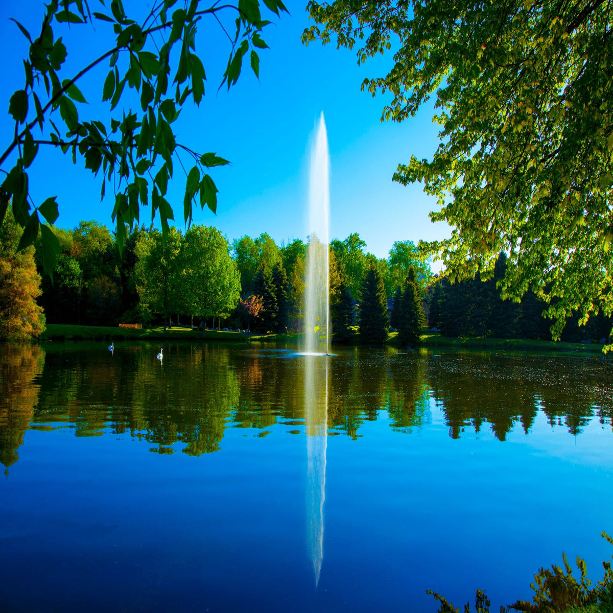 Scott Aerator Gusher Fountain 1/2 HP 230V Pond Aerator with 70 ft. Electric Cord | Decorative Pond Fountain | Aerating Fountain for Lakes & Ponds | Maintenance Free Stainless Steel Fountain