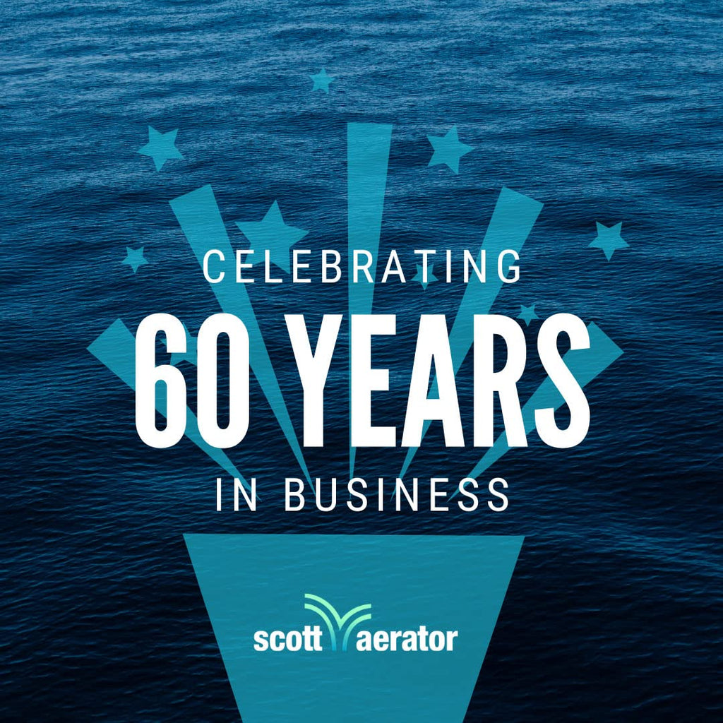 Scott Aerator De-Icer for Lakes & Ponds | 3/4 Horse Power 230V Stainless Steel & Motor with 5 Years Warranty