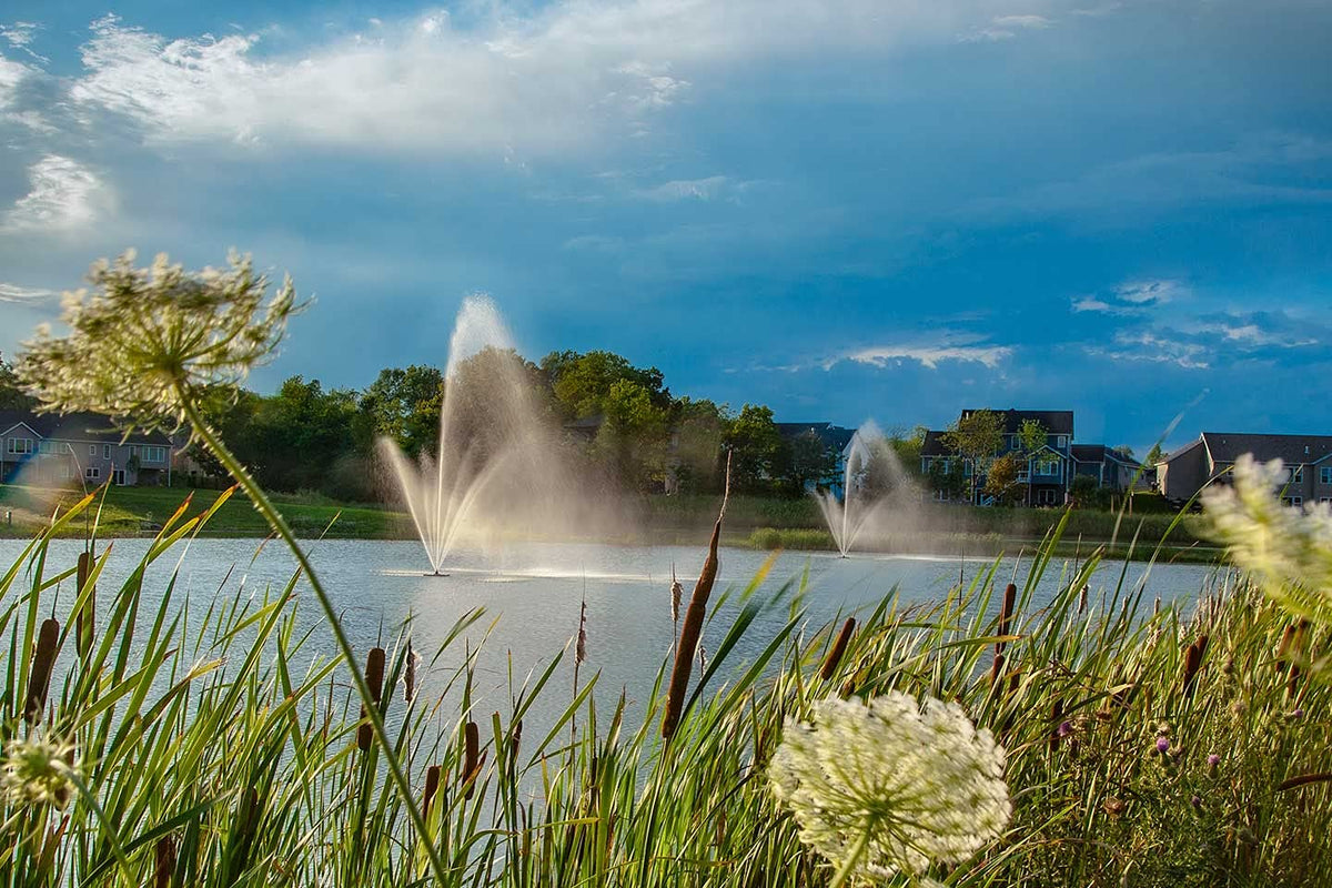 Scott Aerator Atriarch Pond Fountains