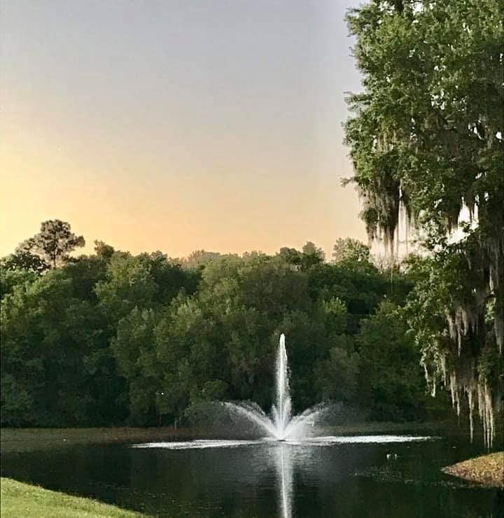 Vanguard Water Creations Hydro Torque Series Floating Fountains for Lake, Pond, Pool and More (Includes 5 Spray Patterns)