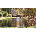 Scott Aerator DA-20 Display Aerator | 1/2 HP 115V 70ft Cord