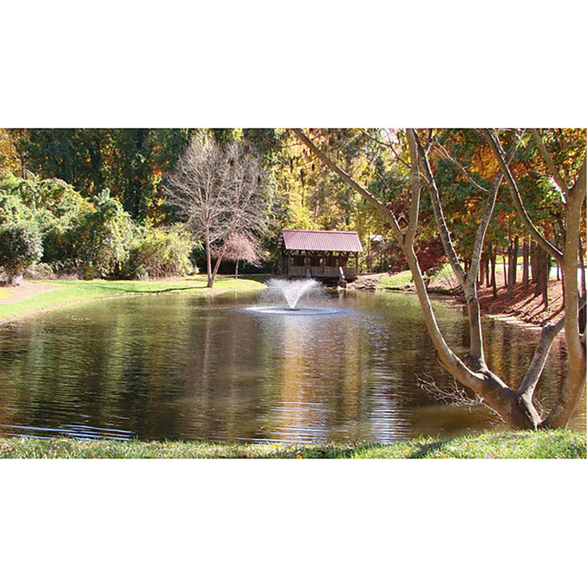 Scott Aerator DA-20 Display Aerator | 1/2 HP 115V 70ft Cord