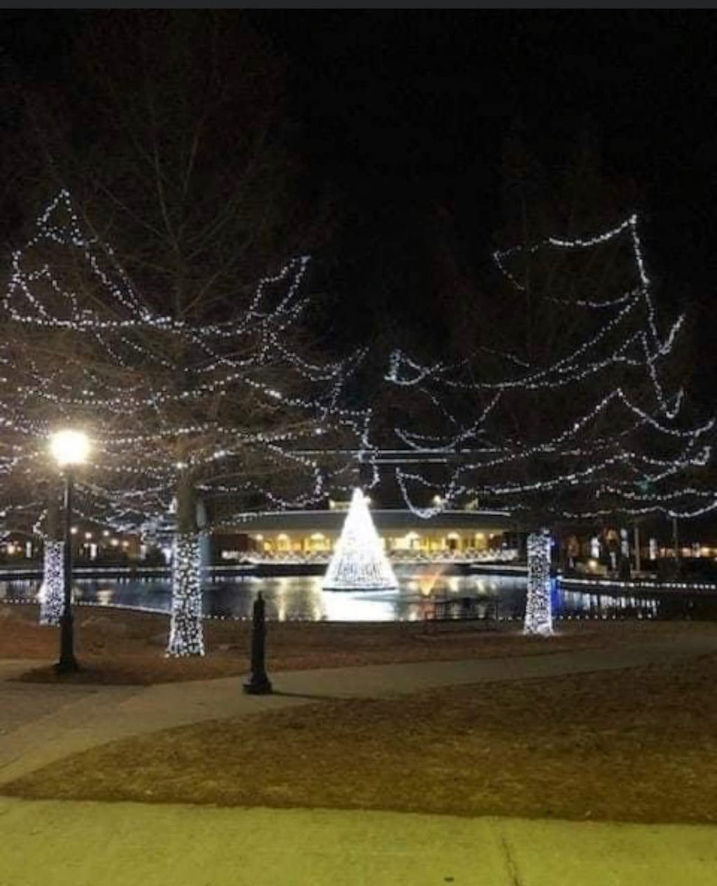 Giant Commercial Floating Christmas Tree - Over 4000 Led Lights - Expandable from 14' to 22' High x 12' Diameter